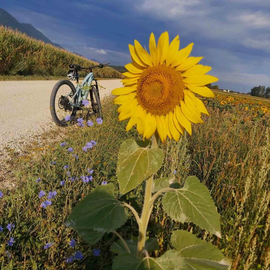 Bikeski Family Hotel, B&B, Apartaments, Rooms Mezica Dış mekan fotoğraf